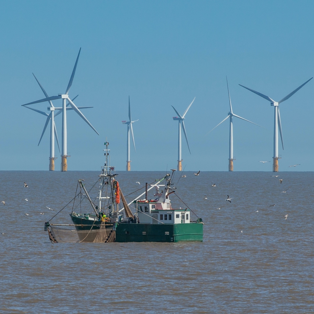 A fishing vessel stays far away from wind turbines in the North Sea